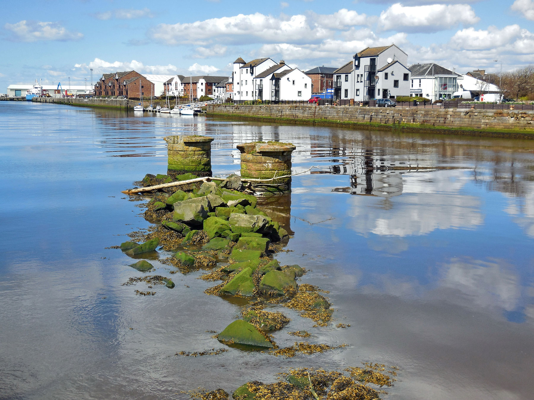 Ayr